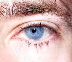 Profil von Emine