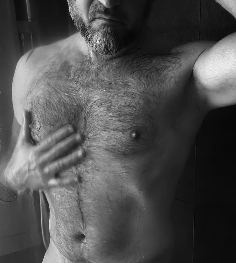 Profil von Zola